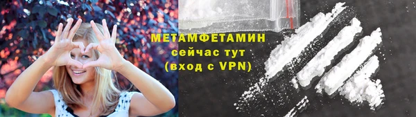 соль ск Дмитриев