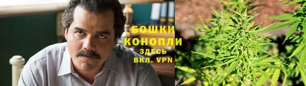 соль ск Дмитриев