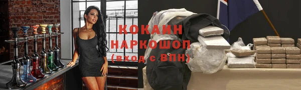 шишки Дмитровск