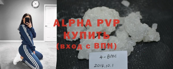 шишки Дмитровск