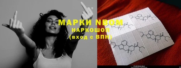 шишки Дмитровск