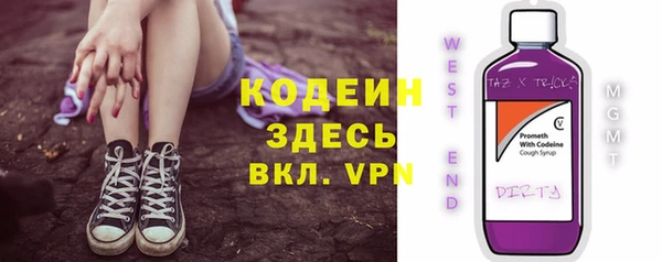 соль ск Дмитриев