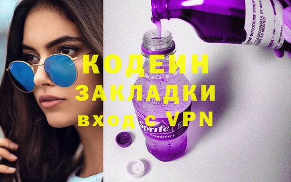 соль ск Дмитриев