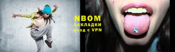 шишки Дмитровск