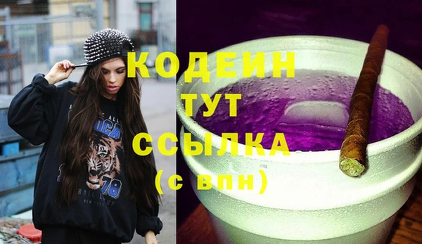 шишки Дмитровск