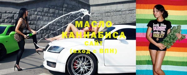 шишки Дмитровск