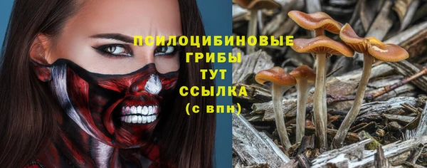 шишки Дмитровск