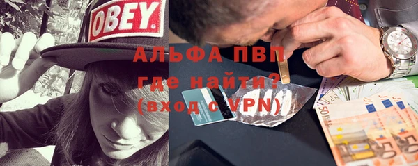 соль ск Дмитриев