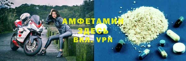 соль ск Дмитриев