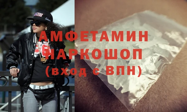шишки Дмитровск