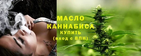 соль ск Дмитриев