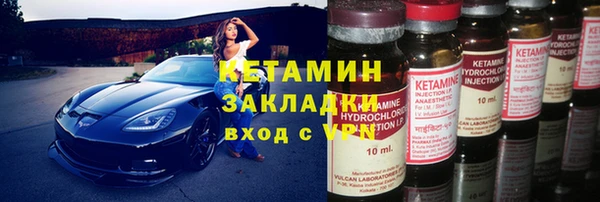 шишки Дмитровск