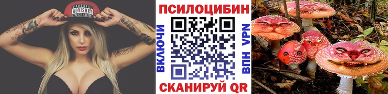 Купить закладки  Богданович  Псилоцибиновые грибы Magic Shrooms 